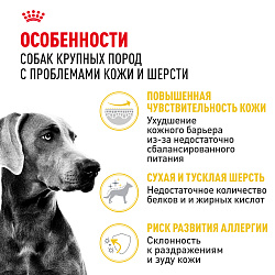 Сухой корм Royal Canin Maxi Dermacomfort для взрослых крупных пород 10 кг